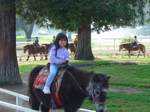 on the pony